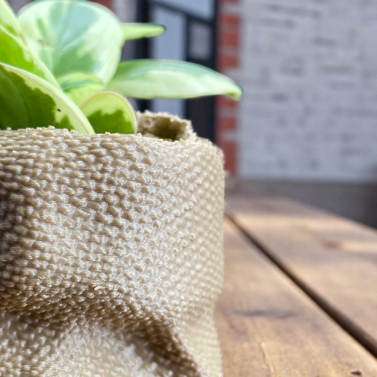 Rustic Charm Burlap Sack Planter – 3D Printed Indoor Pot for Succulents & Houseplants - BOHO Decor - Cottage Core