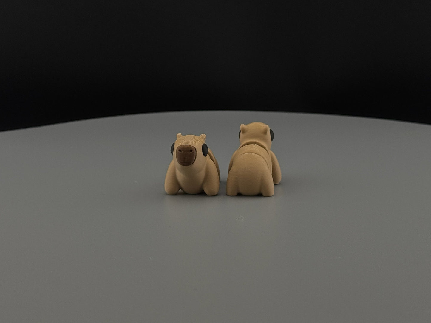 Baby Capybara - 3D Printed Capybara - Capybara Fidget Toy